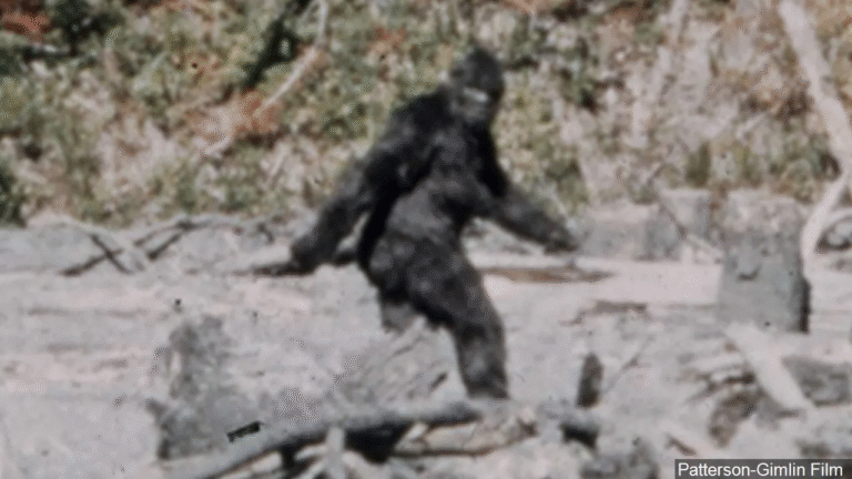 Bigfoot