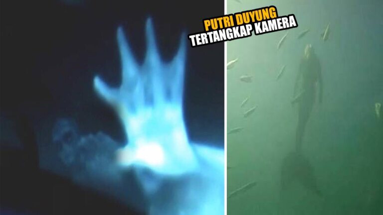 Putri Duyung